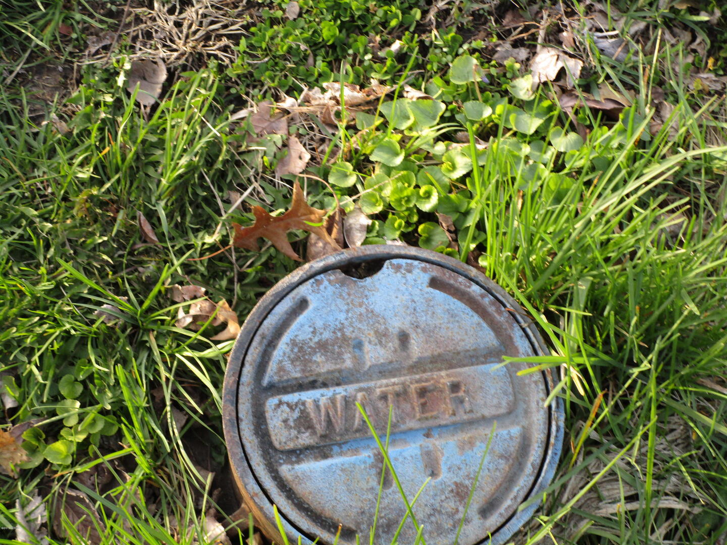 905 East North Avenue Flora, IL 62839 - Photo 7 of 9 a view of a yard with a fountain