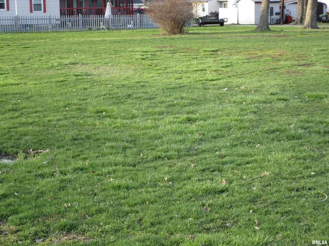 a view of a field of grass and trees