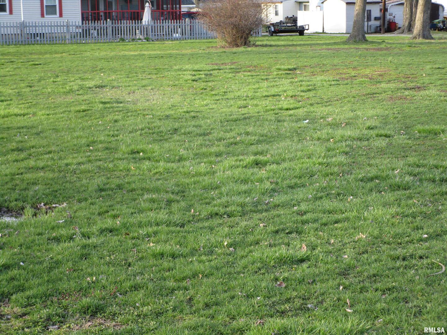 905 East North Avenue Flora, IL 62839 - Photo 8 of 9 a view of a field of grass and trees