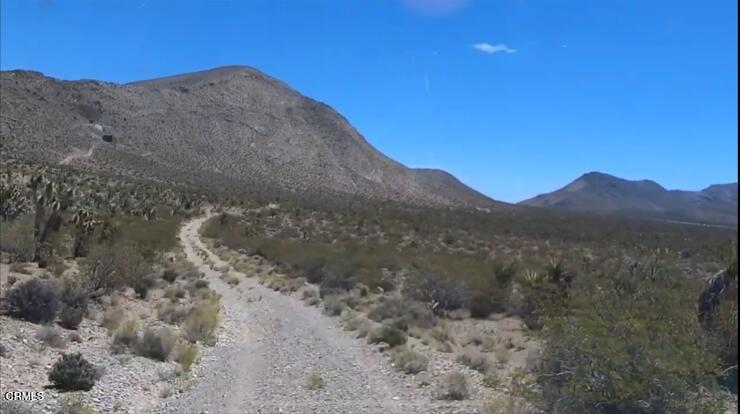 65845 Cima Road Baker, CA 92309 - Photo 11 of 57 Road off Clark Mountain Road Leading to