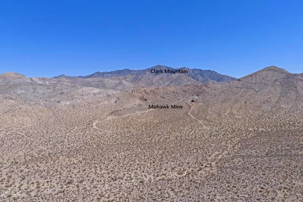 $1,249,000 | 9 Clark Mountain Road, Baker, CA 92309