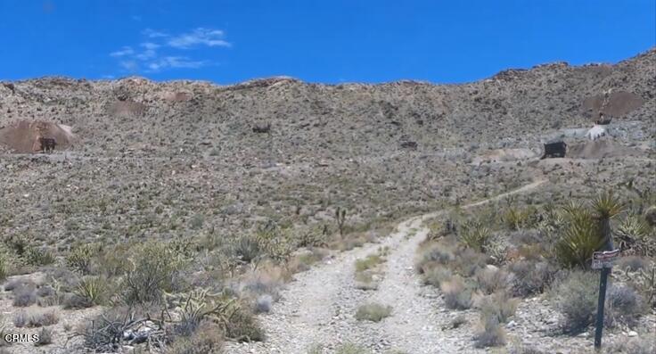 65845 Cima Road Baker, CA 92309 - Photo 23 of 57 a view of a snow in the background of a mountain