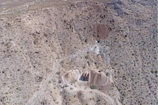 a view of a dry tree with wooden fence
