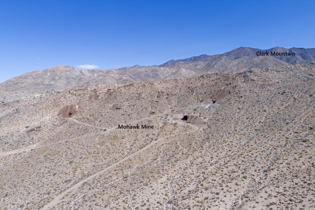 65845 Cima Road Baker, CA 92309 - Photo 28 of 61 a view of a dry yard with mountains in the background