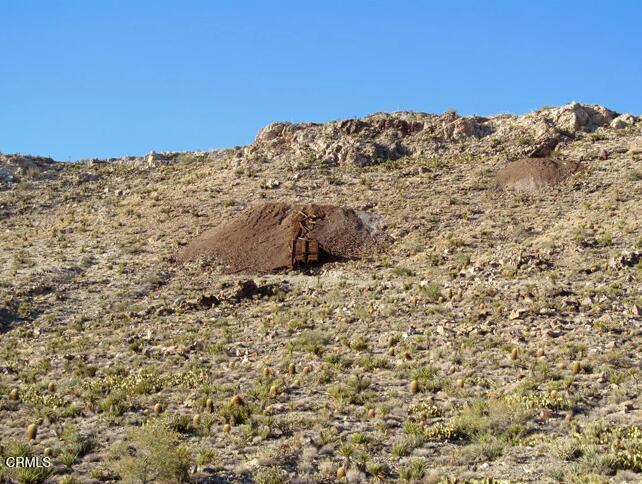 65845 Cima Road Baker, CA 92309 - Photo 31 of 61 Bulk Rock