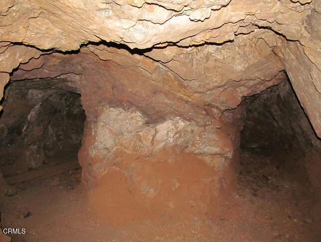 9 Clark Mountain Road Baker, CA 92309 - Photo 32 of 48 a view of a dry tree with wooden fence