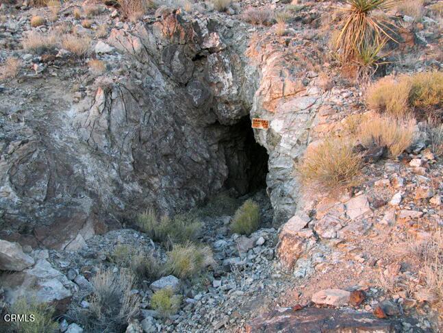 65845 Cima Road Baker, CA 92309 - Photo 40 of 57 a view of a yard with plants and trees