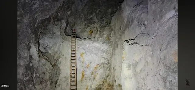 a view of backyard with wooden floor and a ceiling fan