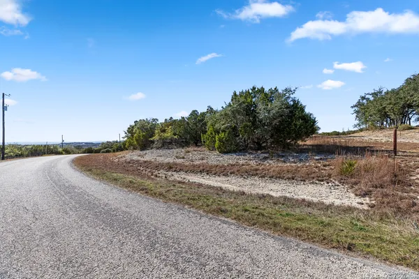 a view of a dry yard with trees