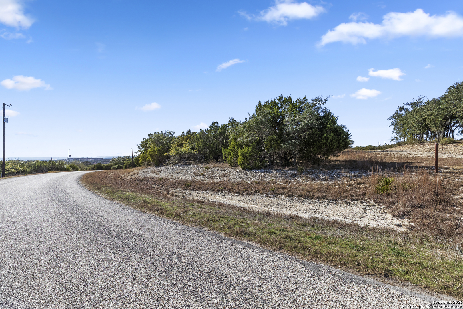 a view of a dry yard with trees