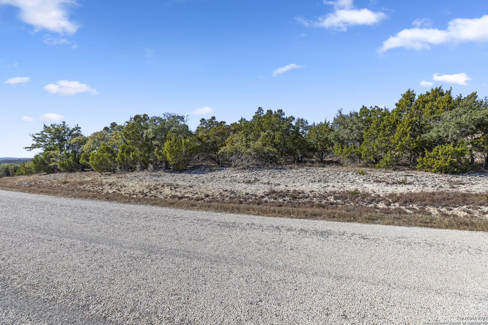 331 Ridge Point Spring Branch, TX 78070 - Photo 2 of 14 a view of a field with trees in background