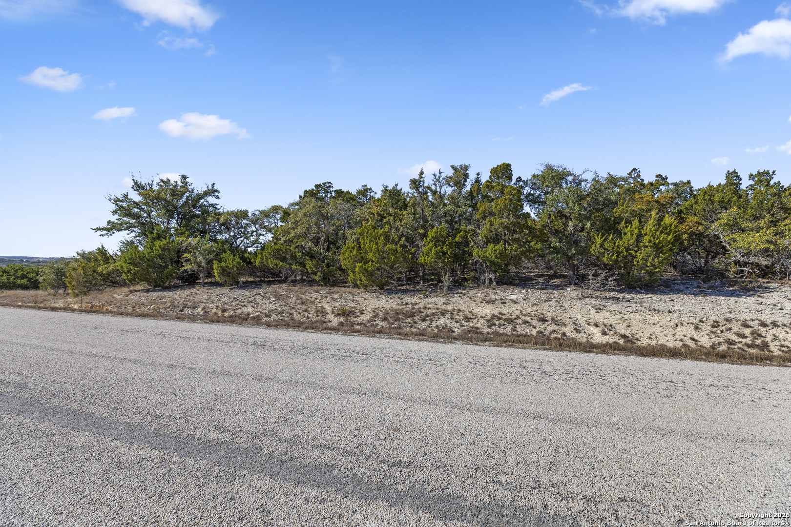 331 Ridge Point Spring Branch, TX 78070 - Photo 3 of 14 a view of a rural road with plants