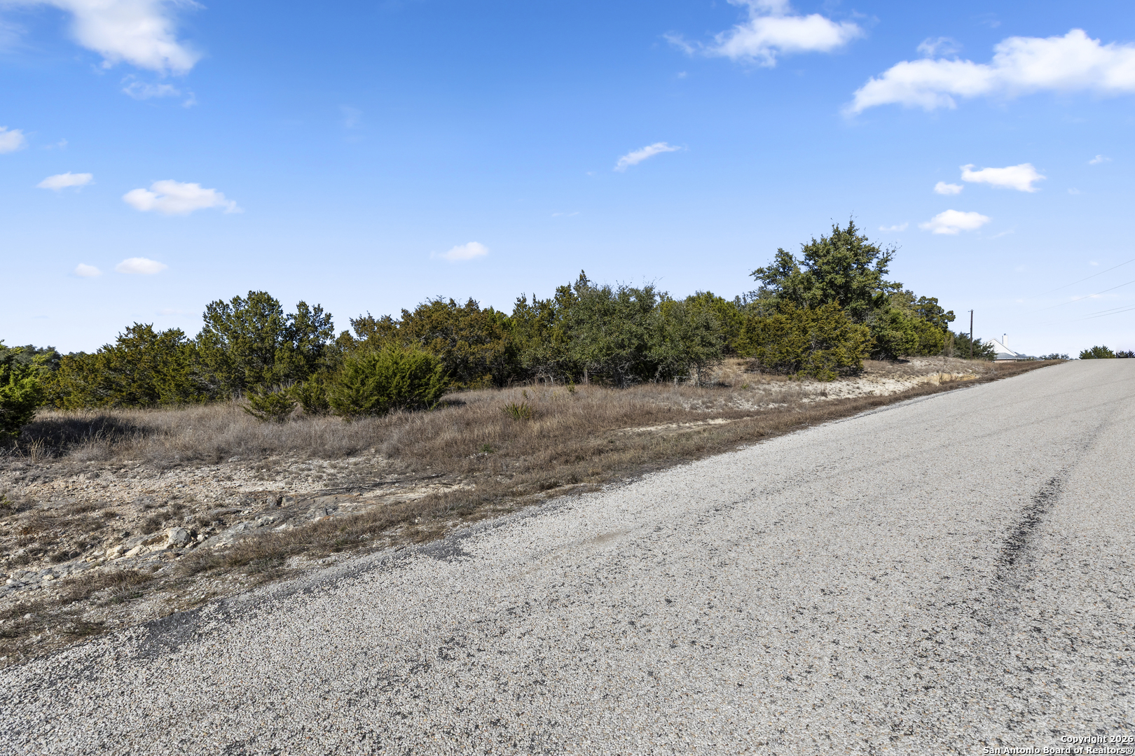 331 Ridge Point Spring Branch, TX 78070 - Photo 4 of 14 a view of a dry yard with trees in the background