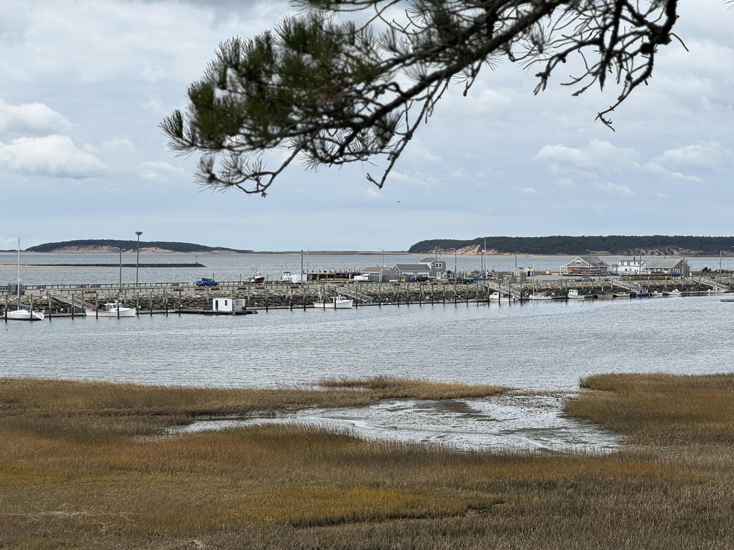 135 Marven Way Wellfleet, MA 02667 - Photo 4 of 16 IMG_2511