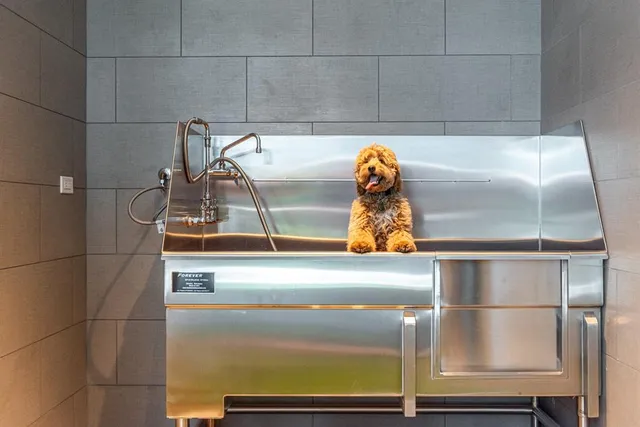 a stove top oven sitting inside of a kitchen