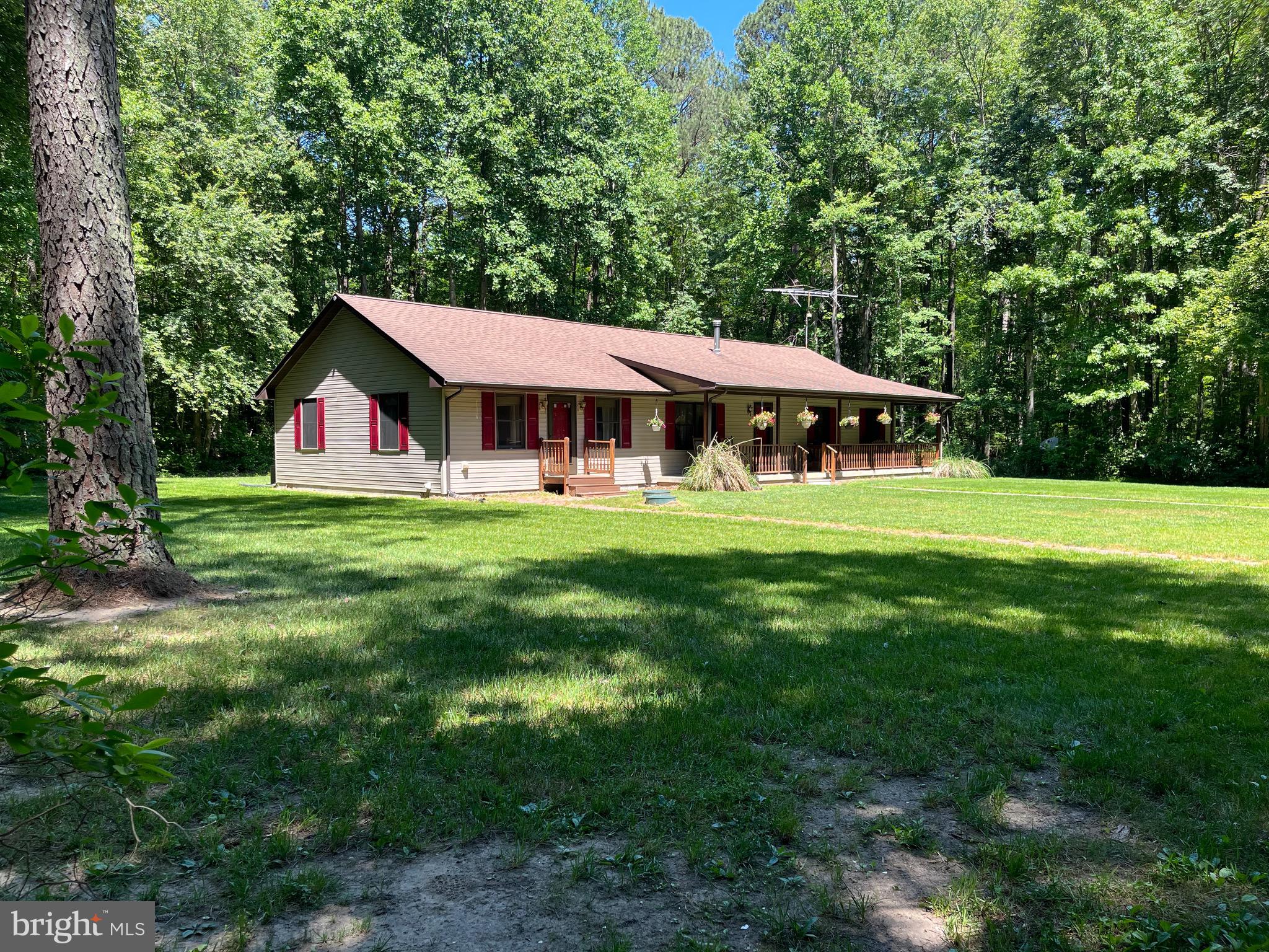 979 Barney Jenkins Road Felton, DE 19943 - Photo 2 of 14