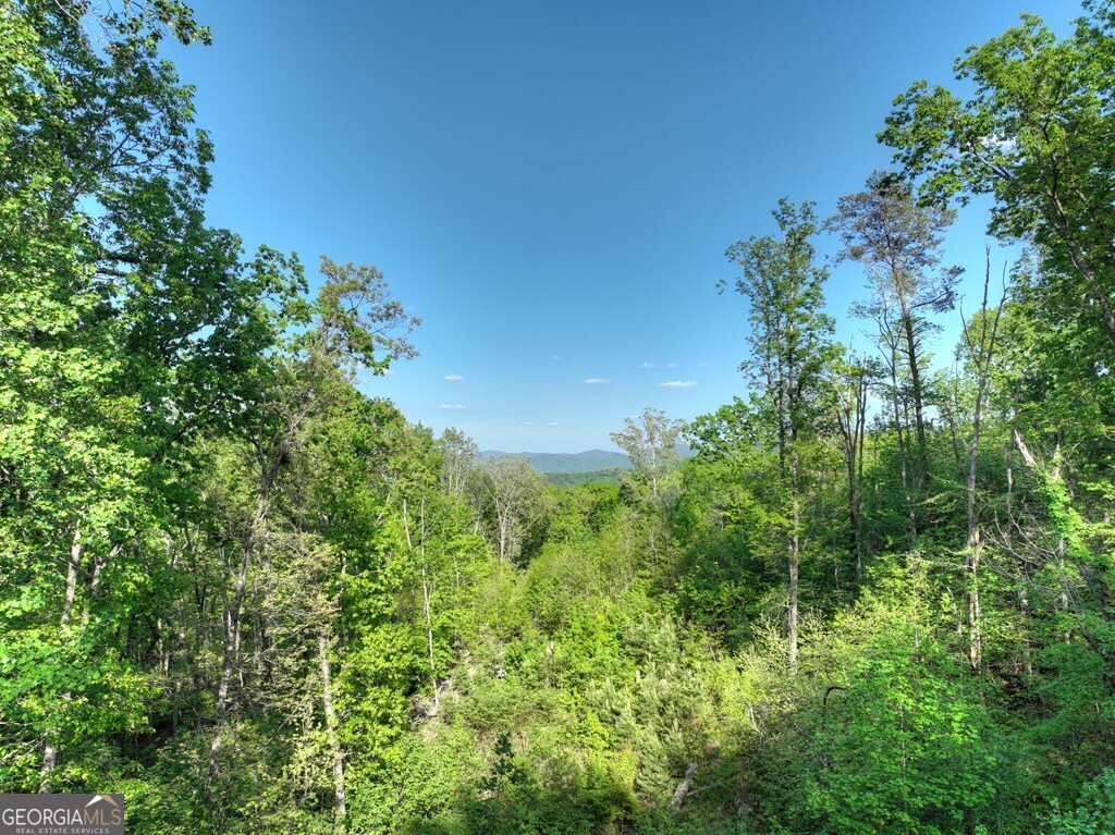 840 Deer Crest Road Blue Ridge, GA 30513 - Photo 48 of 63 Gallery Image 48
