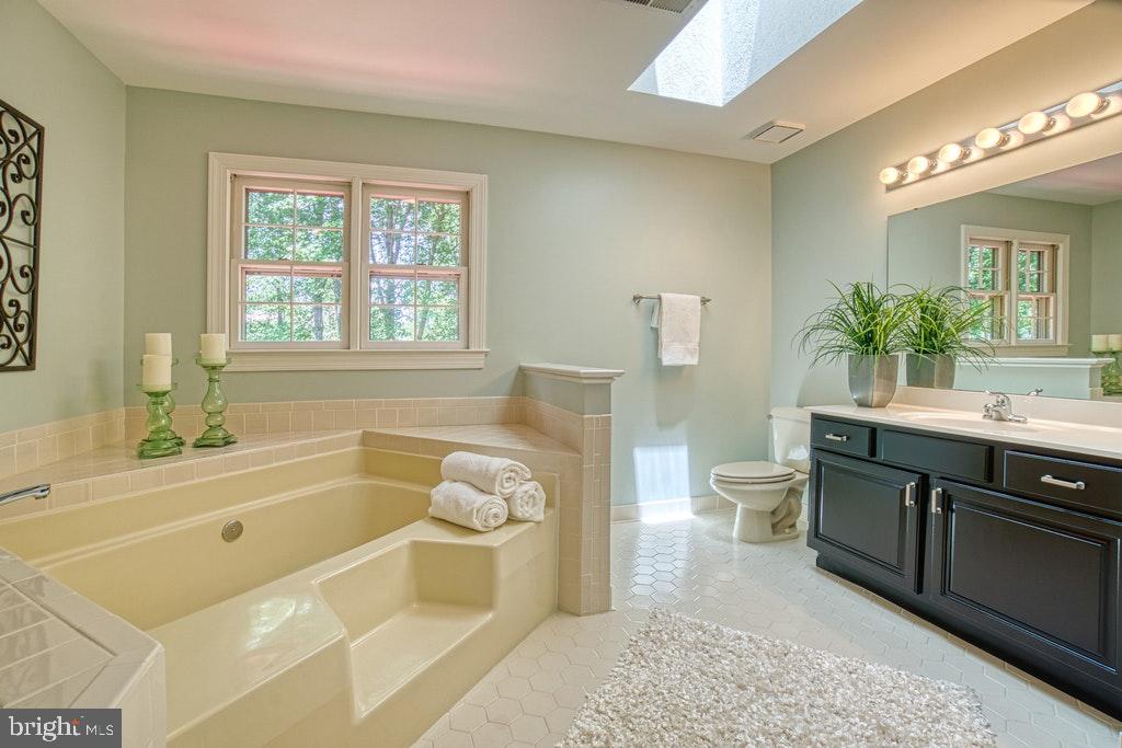1133 Round Pebble Lane Reston, VA 20194 - Photo 16 of 31 MASTERBATHROOM WITH SKYLITE
