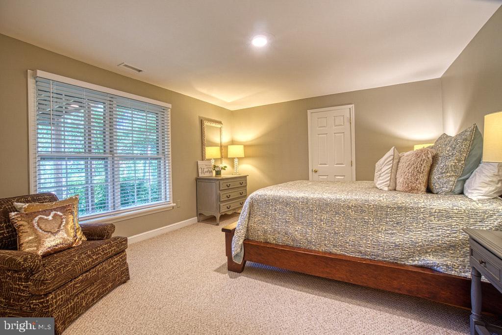 1133 Round Pebble Lane Reston, VA 20194 - Photo 23 of 31 BR #5 IN BASEMENT