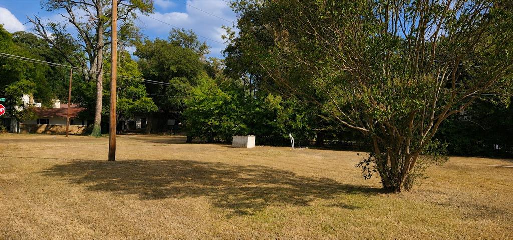2016 Gavin Road Tool, TX 75143 - Photo 5 of 26 Expansive lot featuring mature trees and a substantial open area