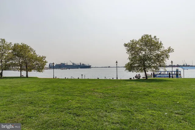 a view of a field with trees in the background