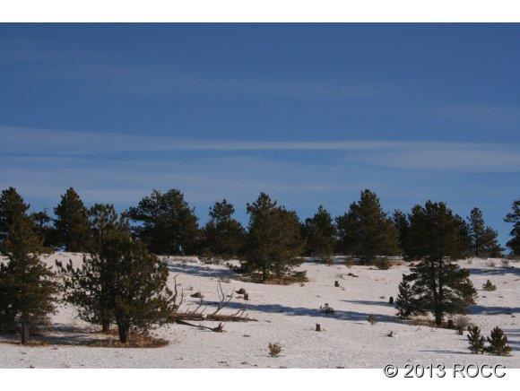 5617 Ranch Road Hartsel, CO 80449 - Photo 1 of 1 Gallery Image 1