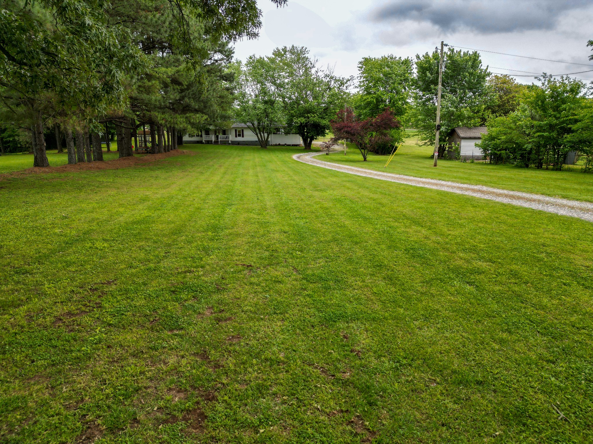 5674 Lakeview Road Springfield, TN 37172 - Photo 5 of 54 a view of a trees in a field