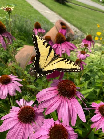 an aerial view of a house with a yard basket ball court and outdoor seating
