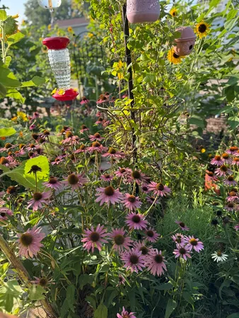 front view of a house with a yard and flowers