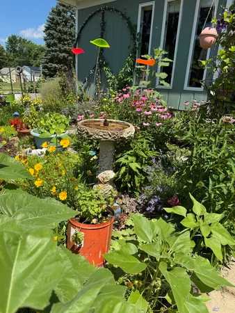 a house view with a garden space