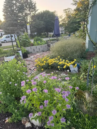 a front view of a house with garden