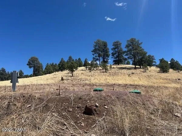 $159,900 | 6 County Road 2331, Alpine, AZ 85920