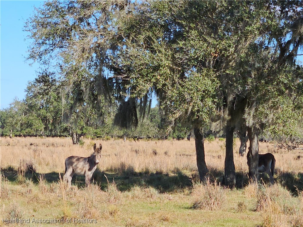 320 Grigsby Road Venus, FL 33960 - Photo 8 of 21 Gallery Image 8