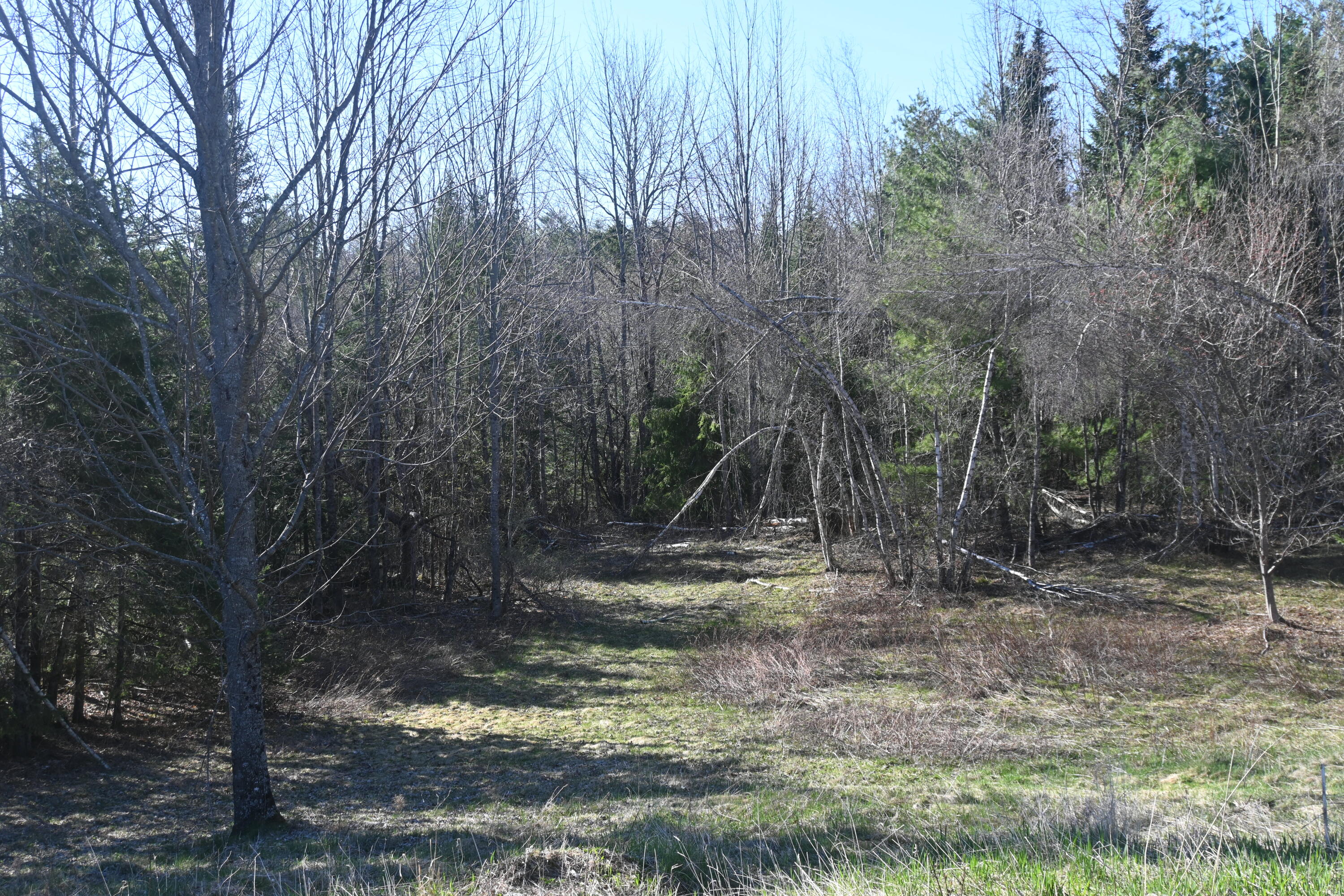 18 Castle Road Harmony, ME 04942 - Photo 53 of 74 DSC_0614