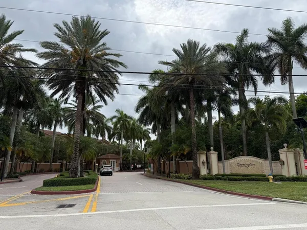 a view of a park with palm trees