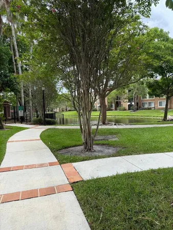 a view of street with palm trees