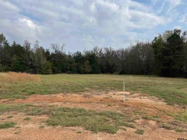 a view of a field with an ocean