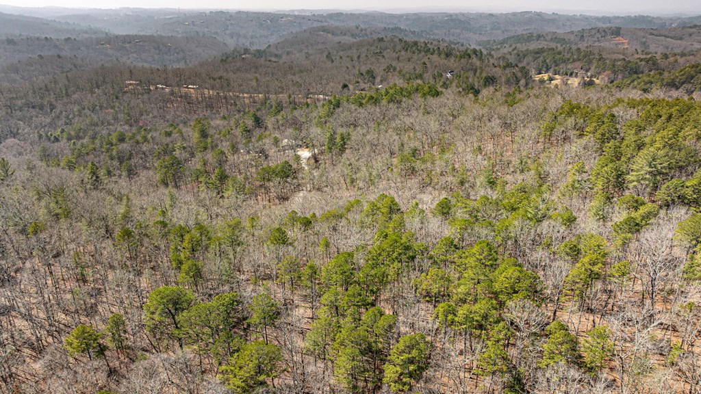 3 Old Mill Road Mineral Bluff, GA 30559 - Photo 37 of 45 Gallery Image 37