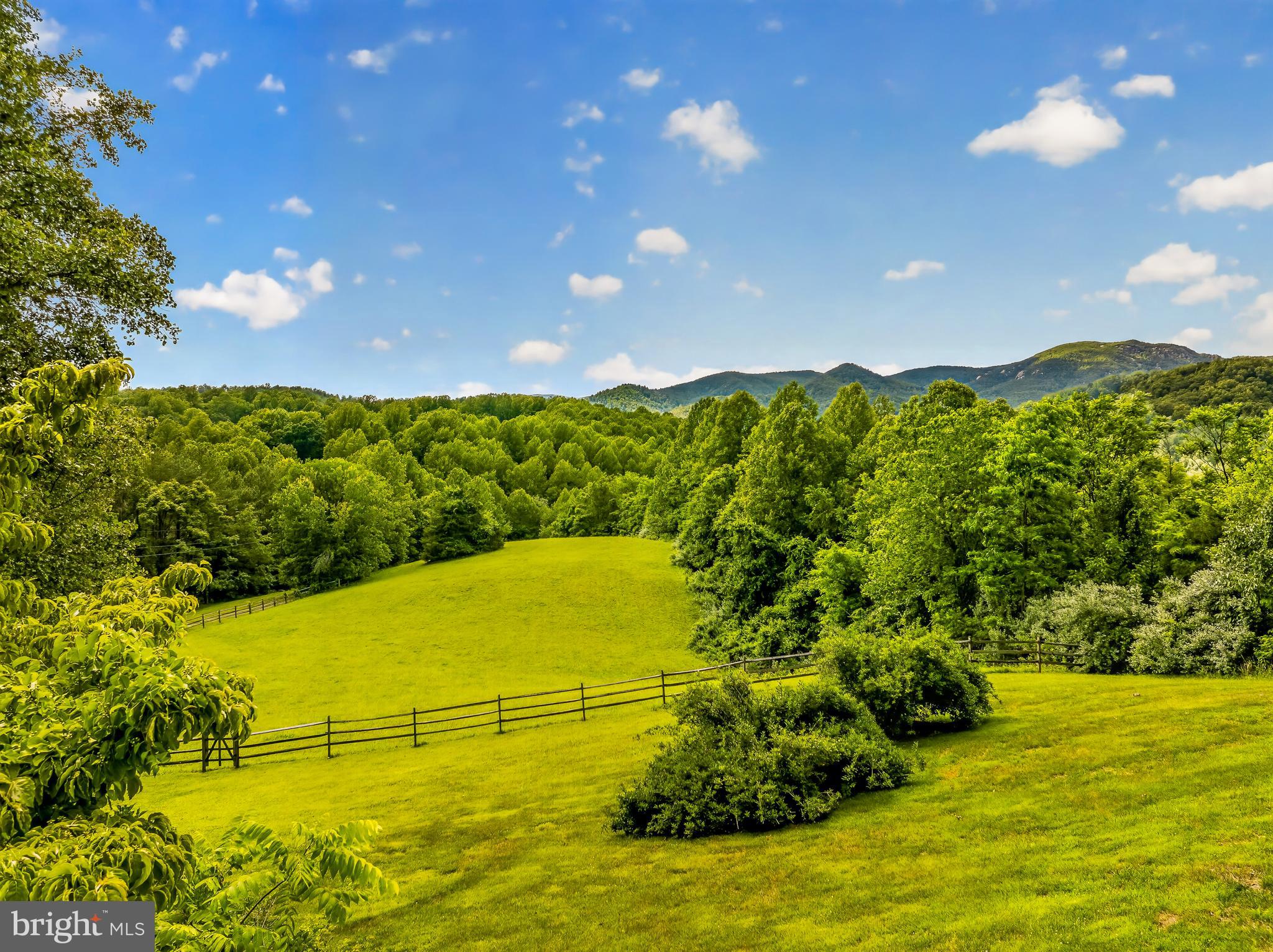 4028 South F T Valley Road Etlan, VA 22719 - Photo 8 of 101