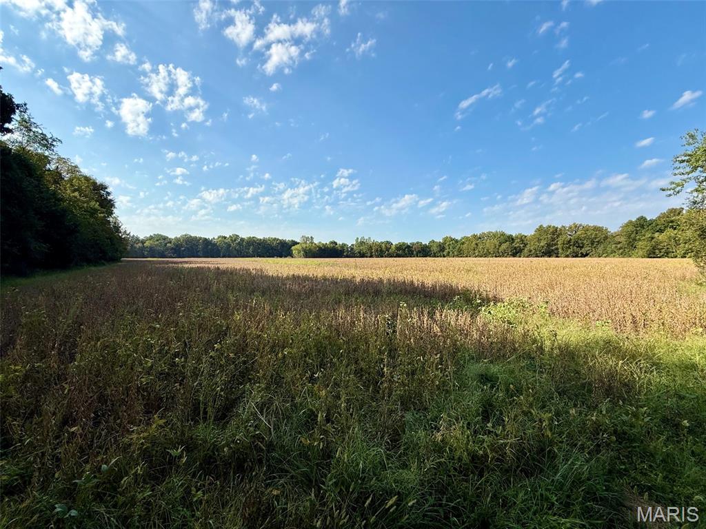 5324 McCallister Road Gerald, MO 63037 - Photo 46 of 67 Gallery Image 46