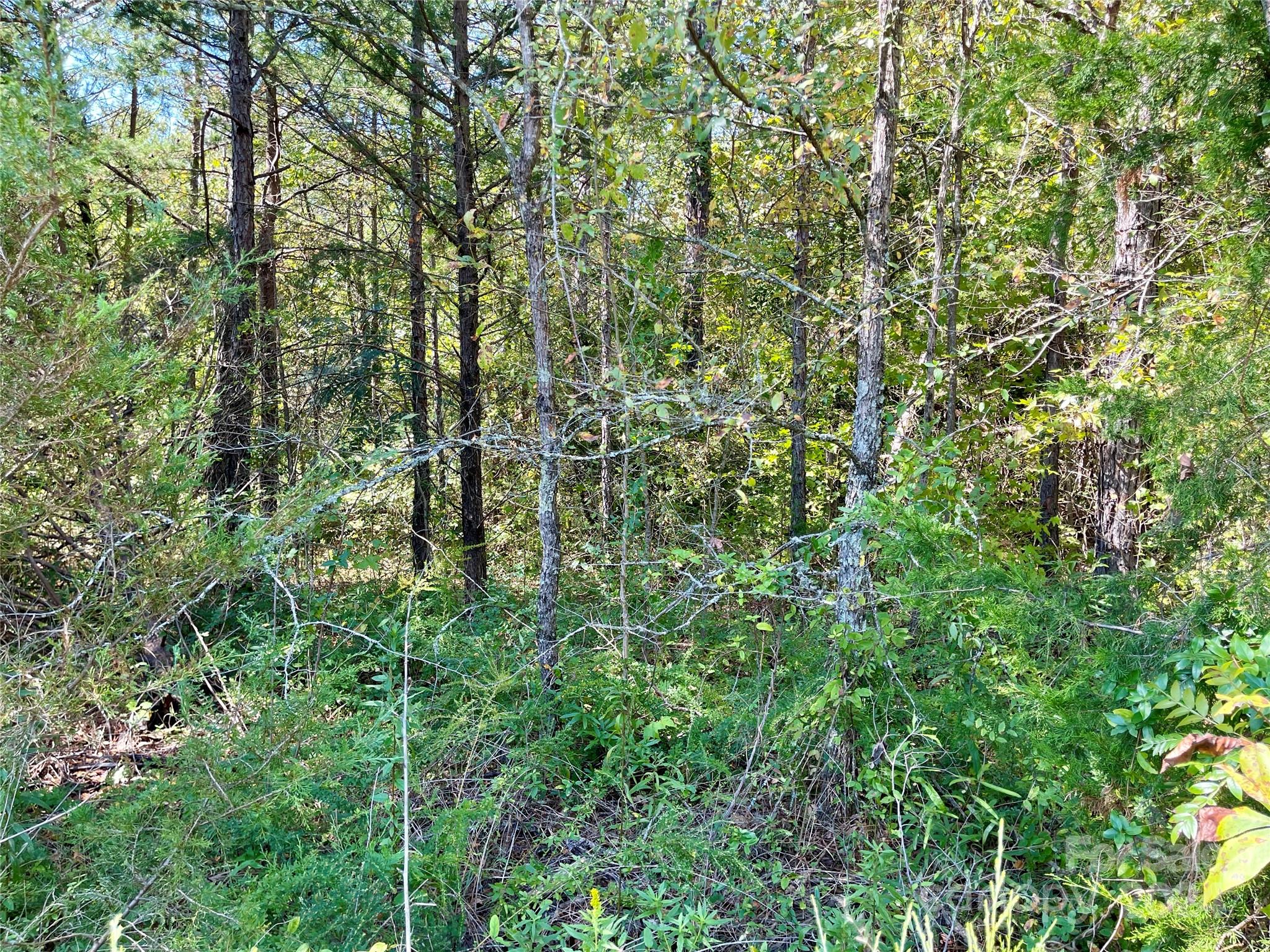 6272 Flowes Store Road Concord, NC 28025 - Photo 4 of 10 Gallery Image 4