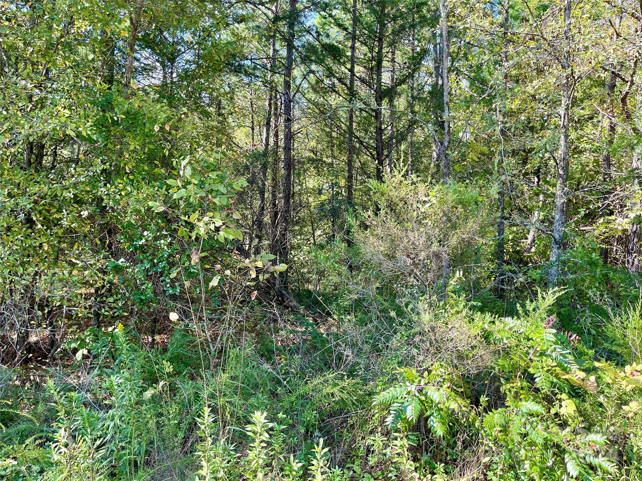 6272 Flowes Store Road Concord, NC 28025 - Photo 5 of 10 Gallery Image 5