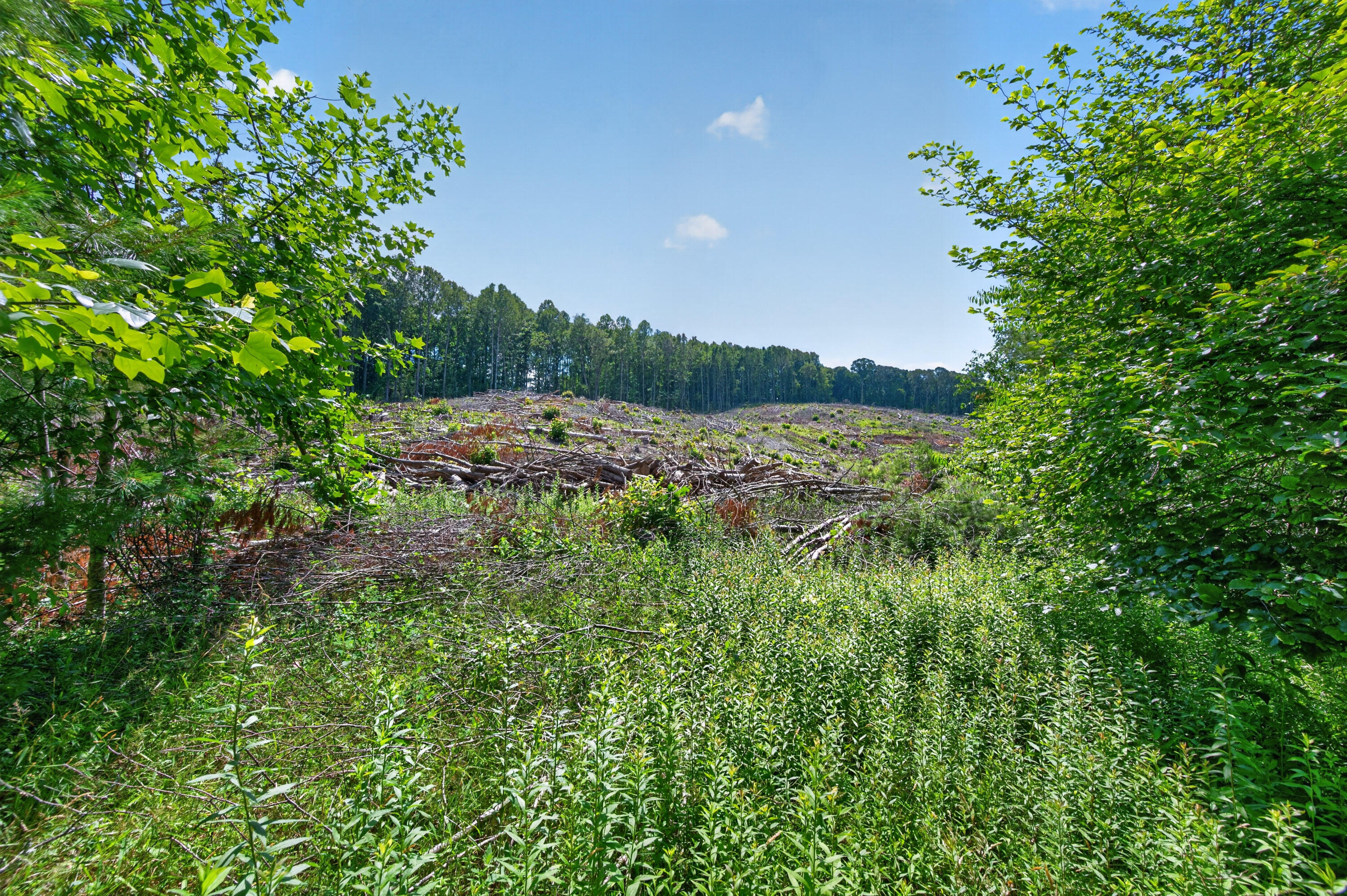 6196 Chances Creek Road Fancy Gap, VA 24328 - Photo 49 of 78 50