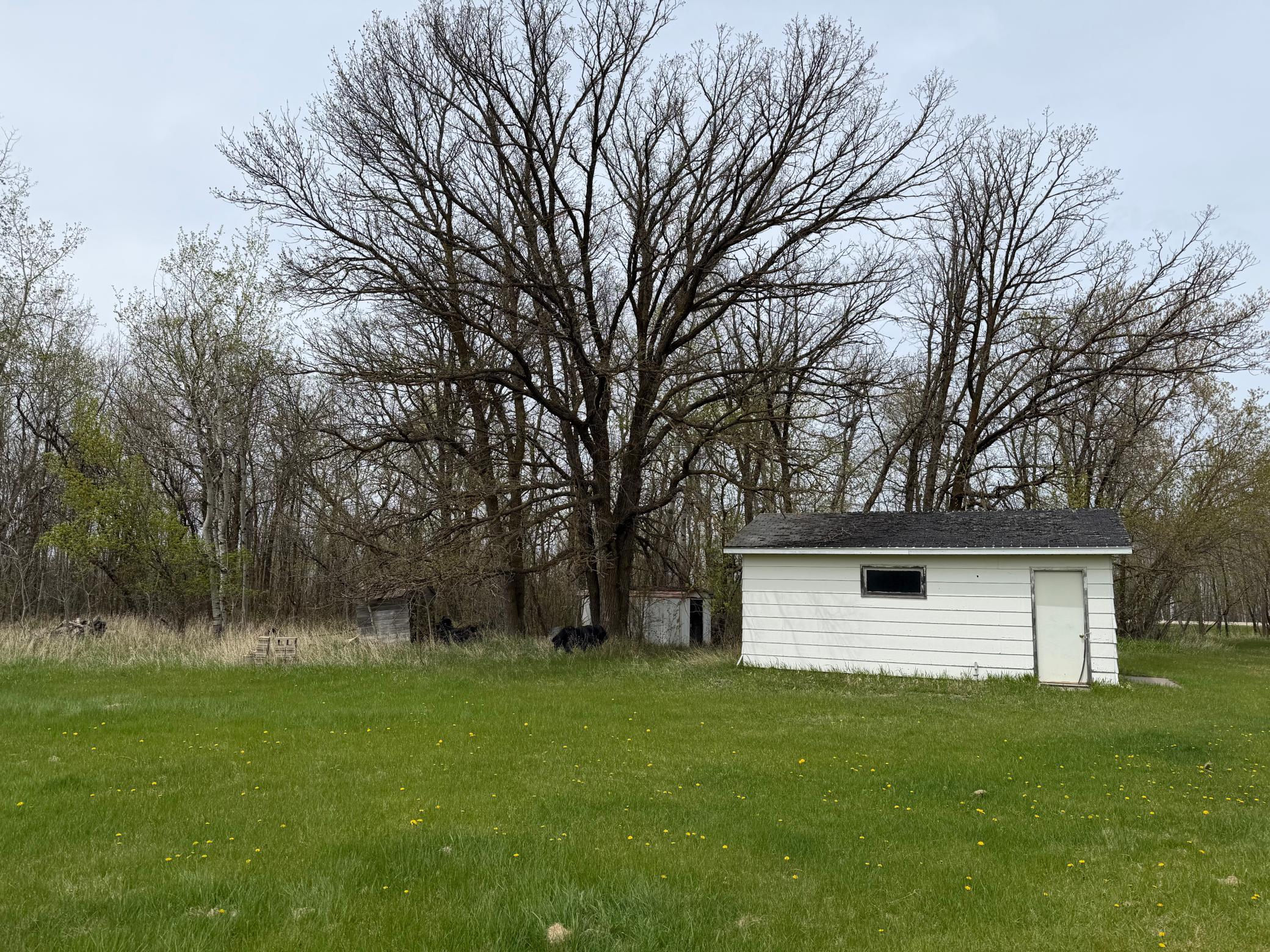 24306 County Road 6 Strathcona, MN 56759 - Photo 25 of 39