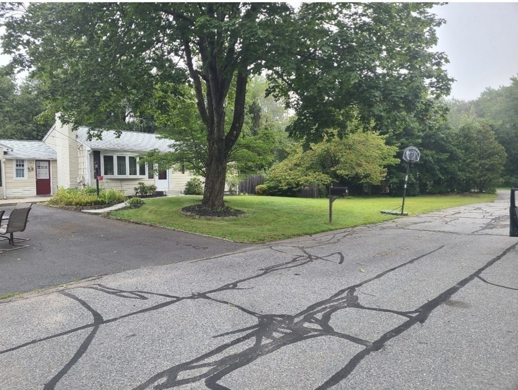 20 Johnson Street Ashland, MA 01721 - Photo 23 of 24 a view of a house with a big yard and large trees