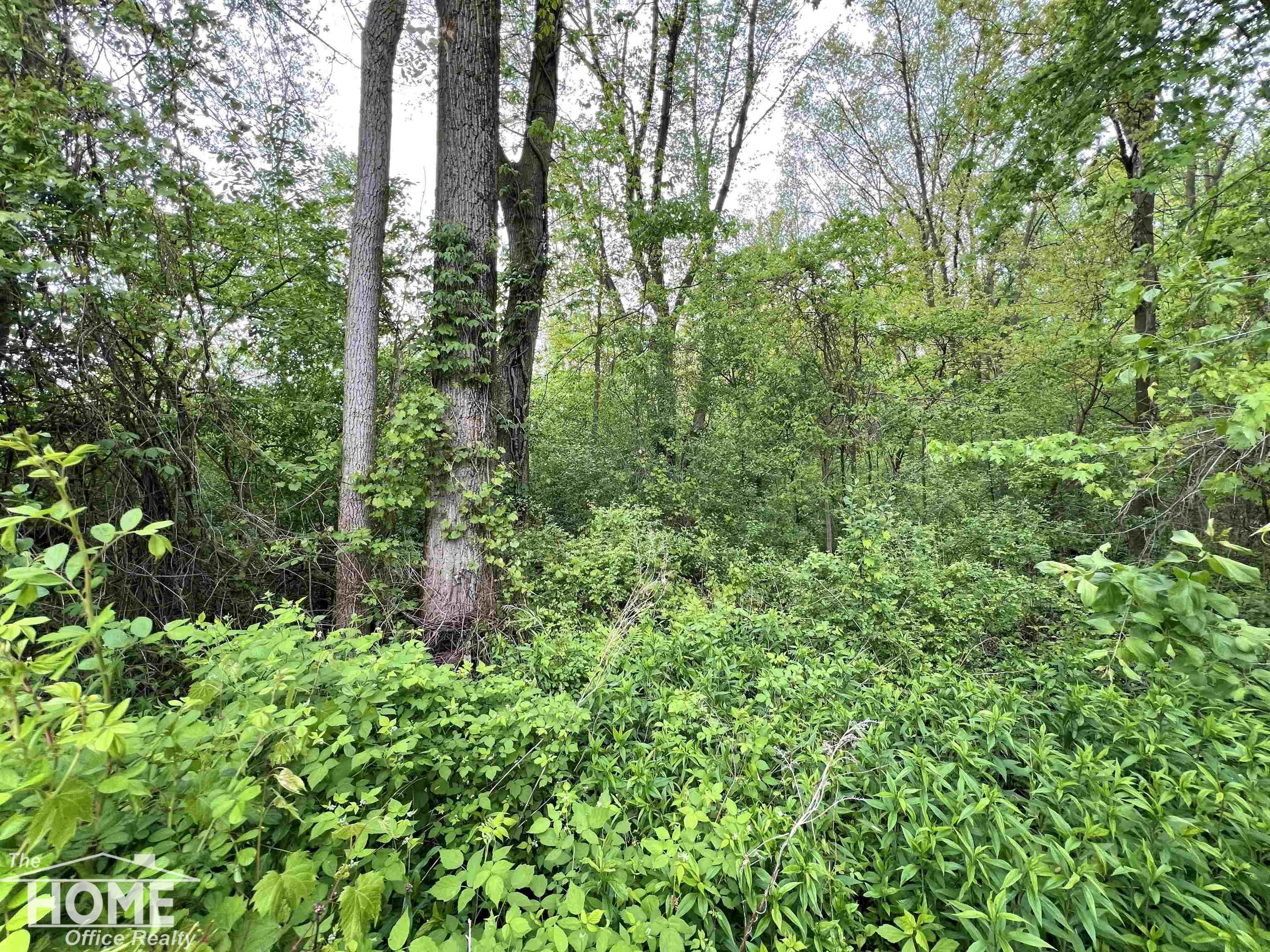 0 Sheridan Road Birch Run, MI 48415 - Photo 20 of 37 Gallery Image 20