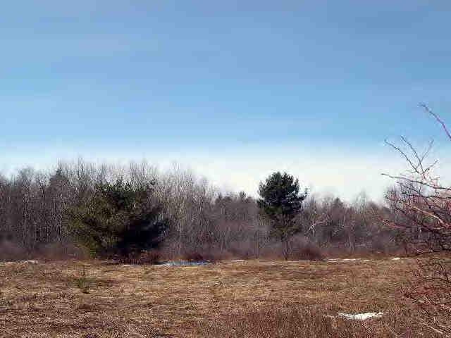 Lot A Stebbins Road Otis, MA 01253 - Photo 1 of 4 a view of a backyard of a house