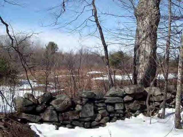Lot A Stebbins Road Otis, MA 01253 - Photo 3 of 4 a view of a yard