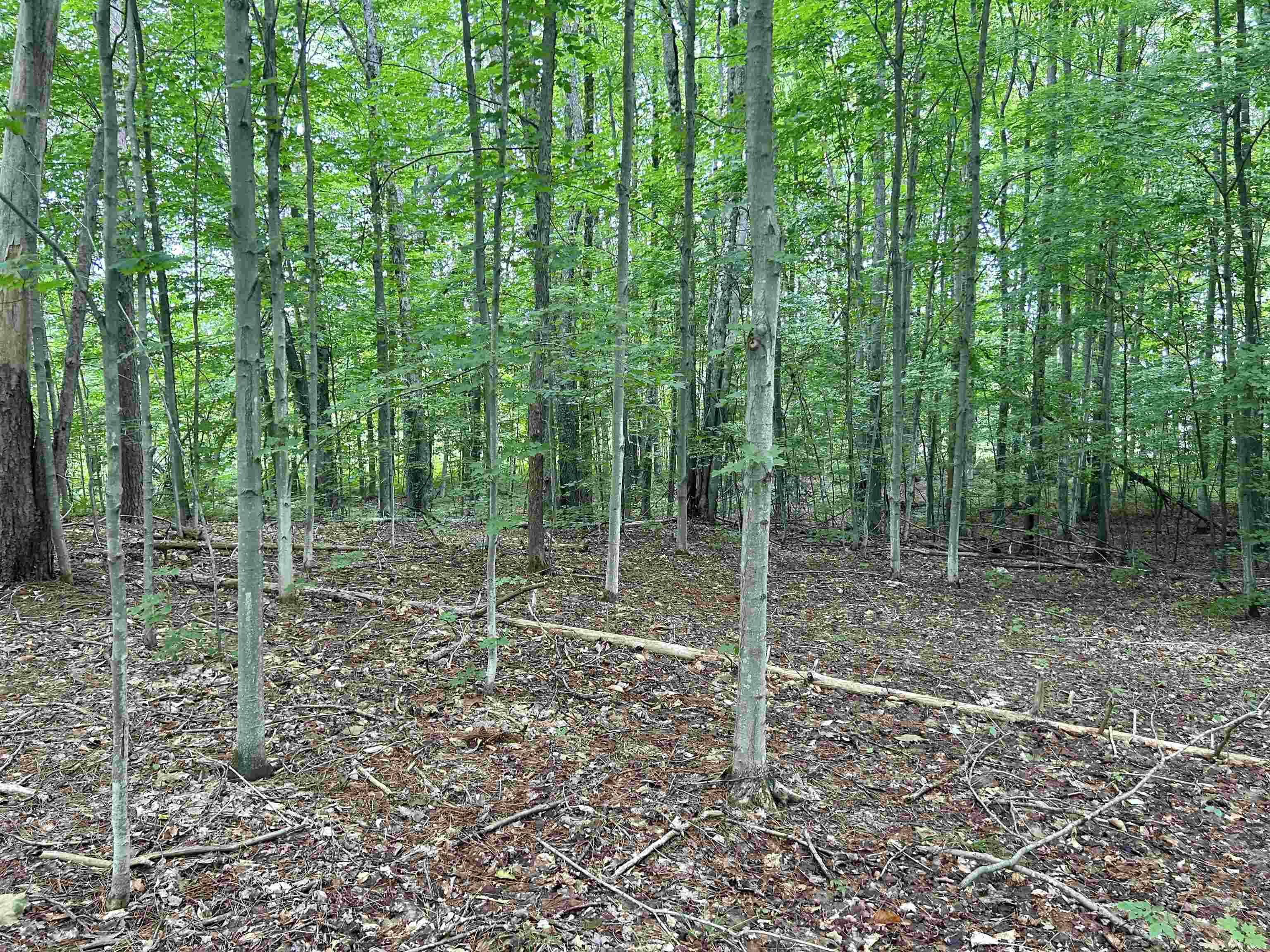 332 Thomas Road Kalkaska, MI 49646 - Photo 6 of 9