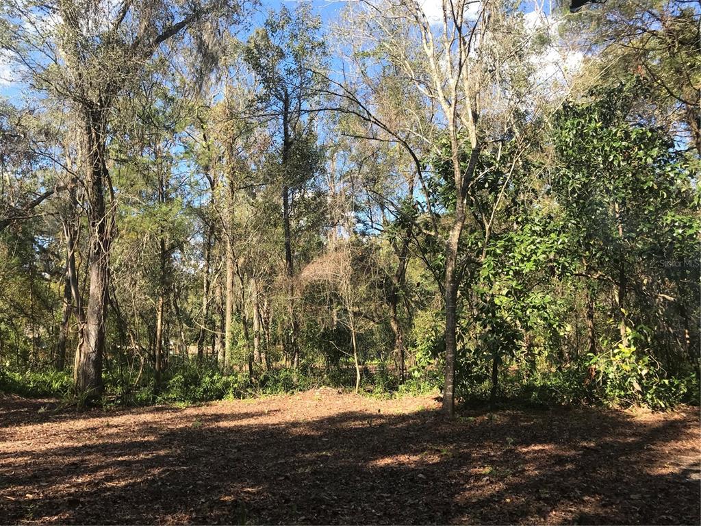 656 County Road Webster, FL 33597 - Photo 2 of 6 Gallery Image 2
